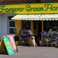 Forever Green Florist and Gifts 1075754 Image 2